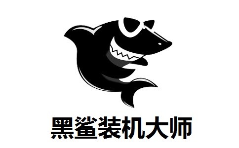 黑鲨装机大师下载