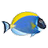 Sim AQUARIUM 2