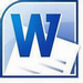 word 2010