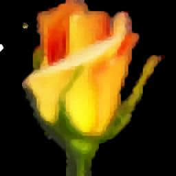 Rosegarden