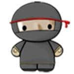 System Ninja