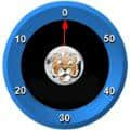 PPTTimer