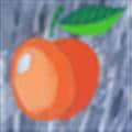 Apricot DB