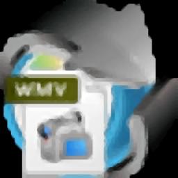 4Easysoft DVD to WMV Converter官方版