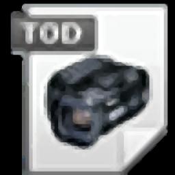4Easysoft TOD Converter官方版