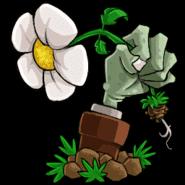 植物大战僵尸年度加强版