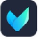 Vidmore Player