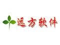 远方送货单打印